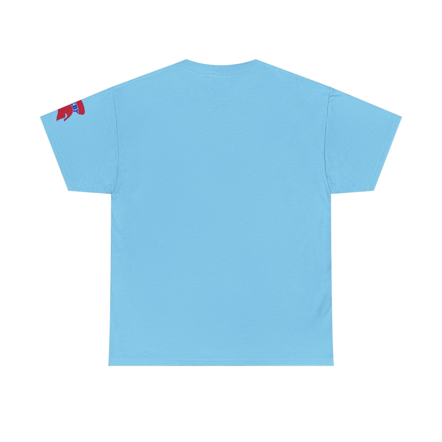 Spartan Educator Patriotic Design Gildan Tee With Sleeve Logo