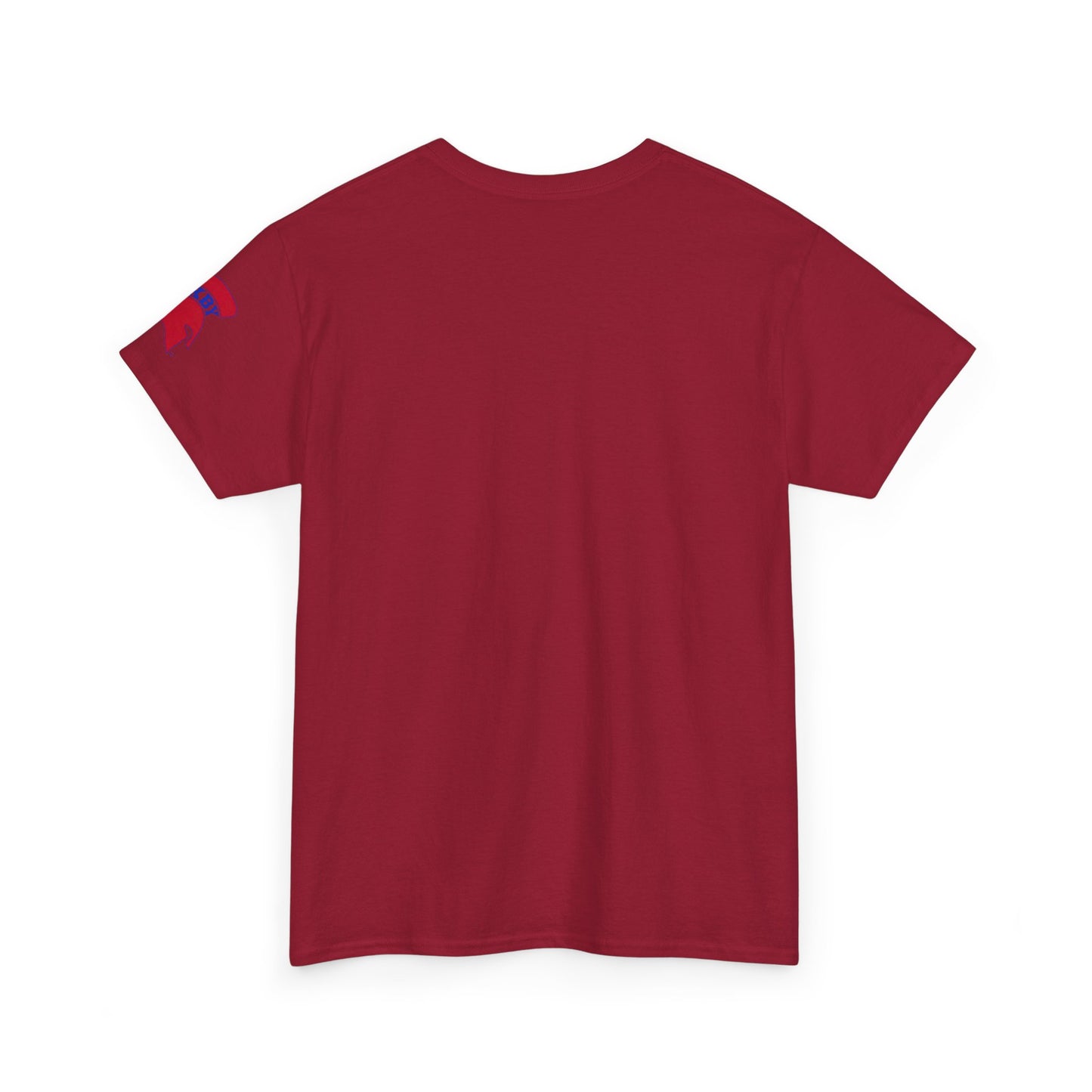 Spartan Educator Design Gildan Tee With Sleeve Logo