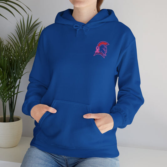 Spartan Small Helmet Breast Cancer Awareness Gildan Hoodie