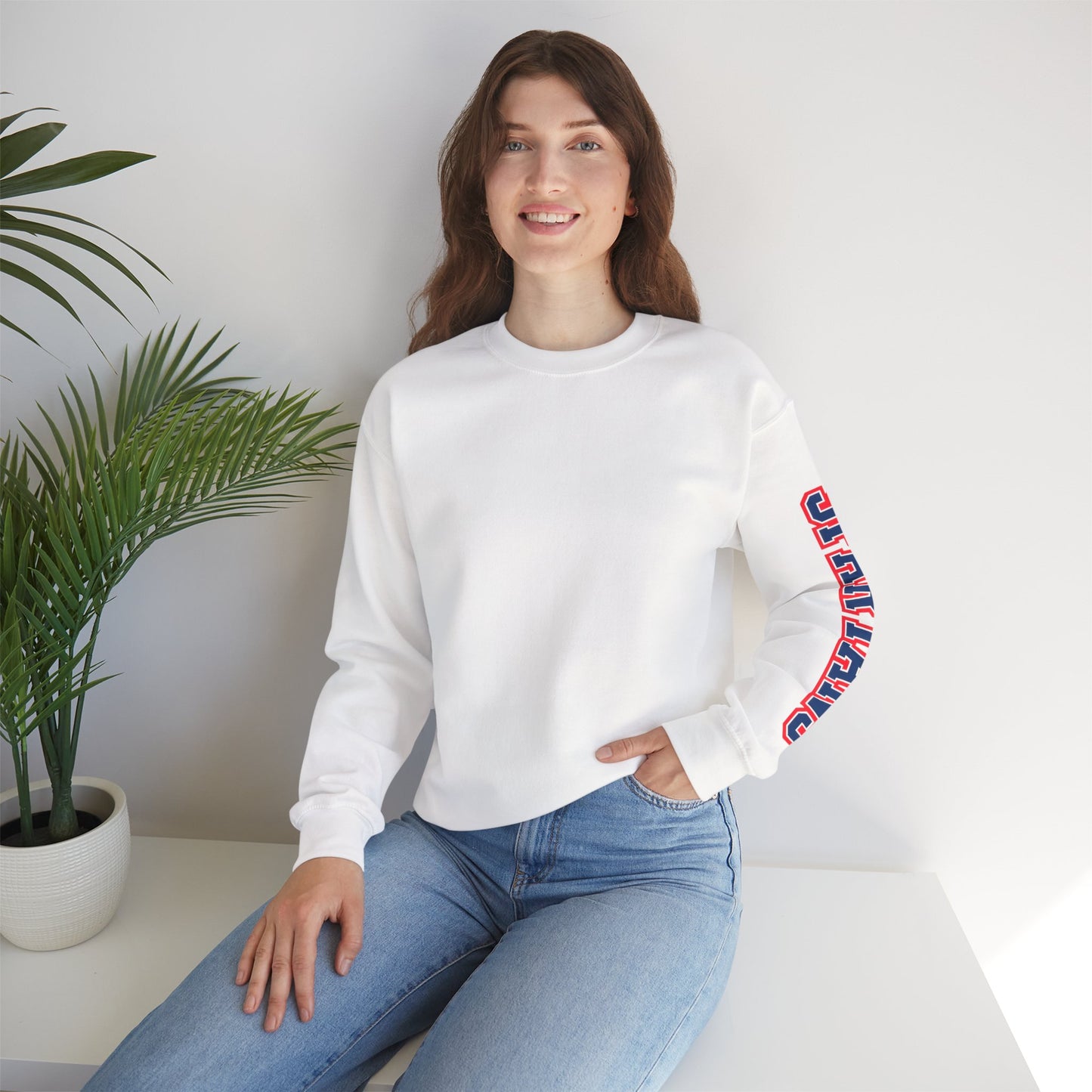Spartans Athletic Letter Gildan Sleeve Print Sweatshirt