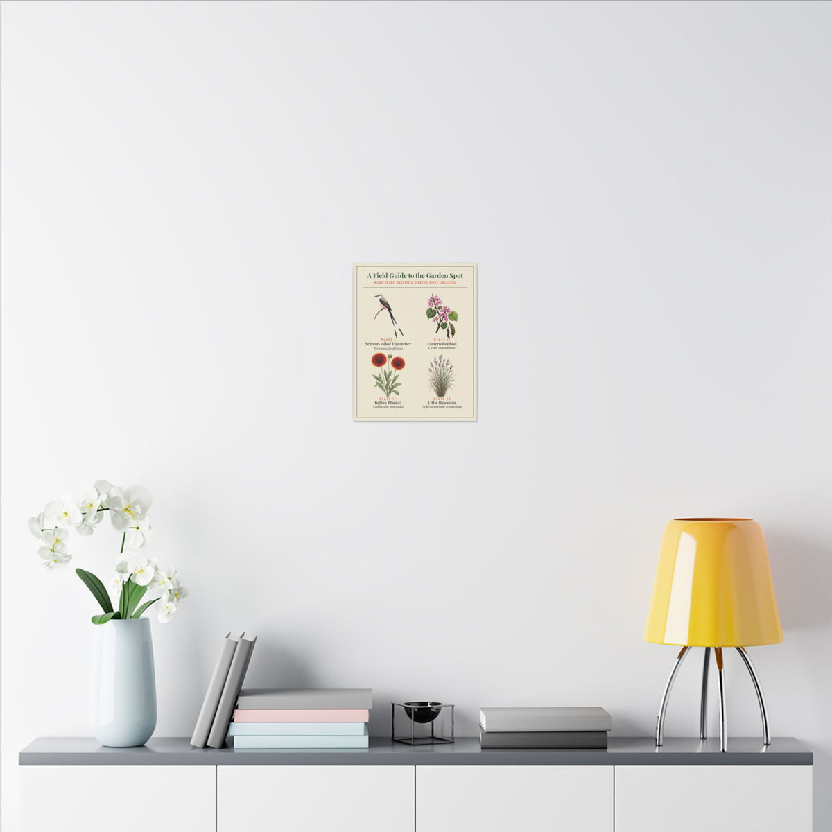 Oklahoma Wildflower Field Guide Canvas | Scissortail and Redbud Wall Art