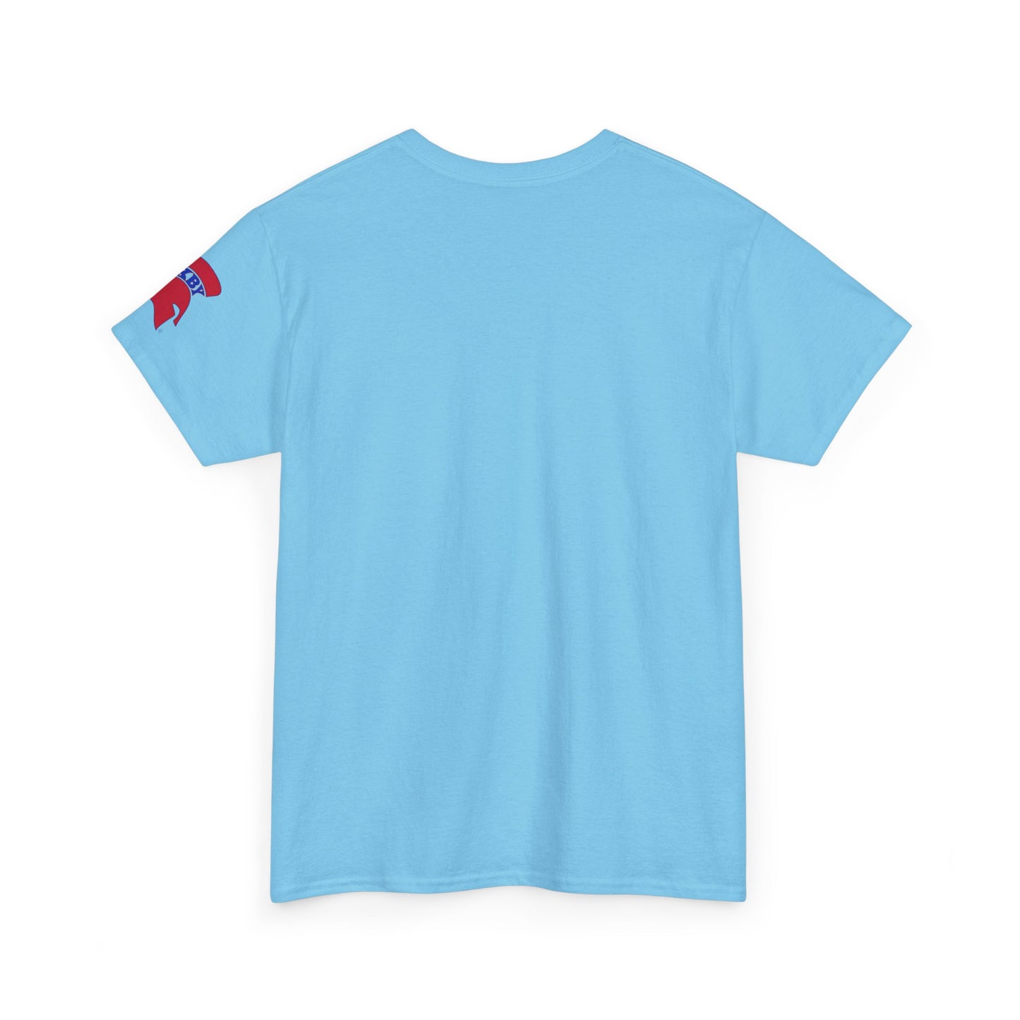 Spartan Educator Patriotic Design Gildan Tee With Sleeve Logo
