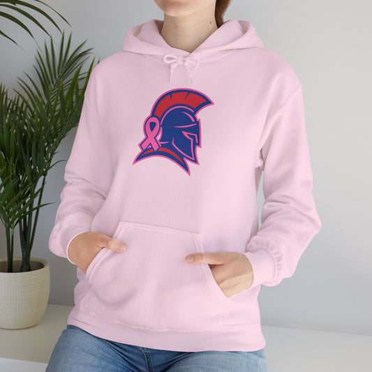 Spartan Helmet Breast Cancer Awareness Gildan Hoodie