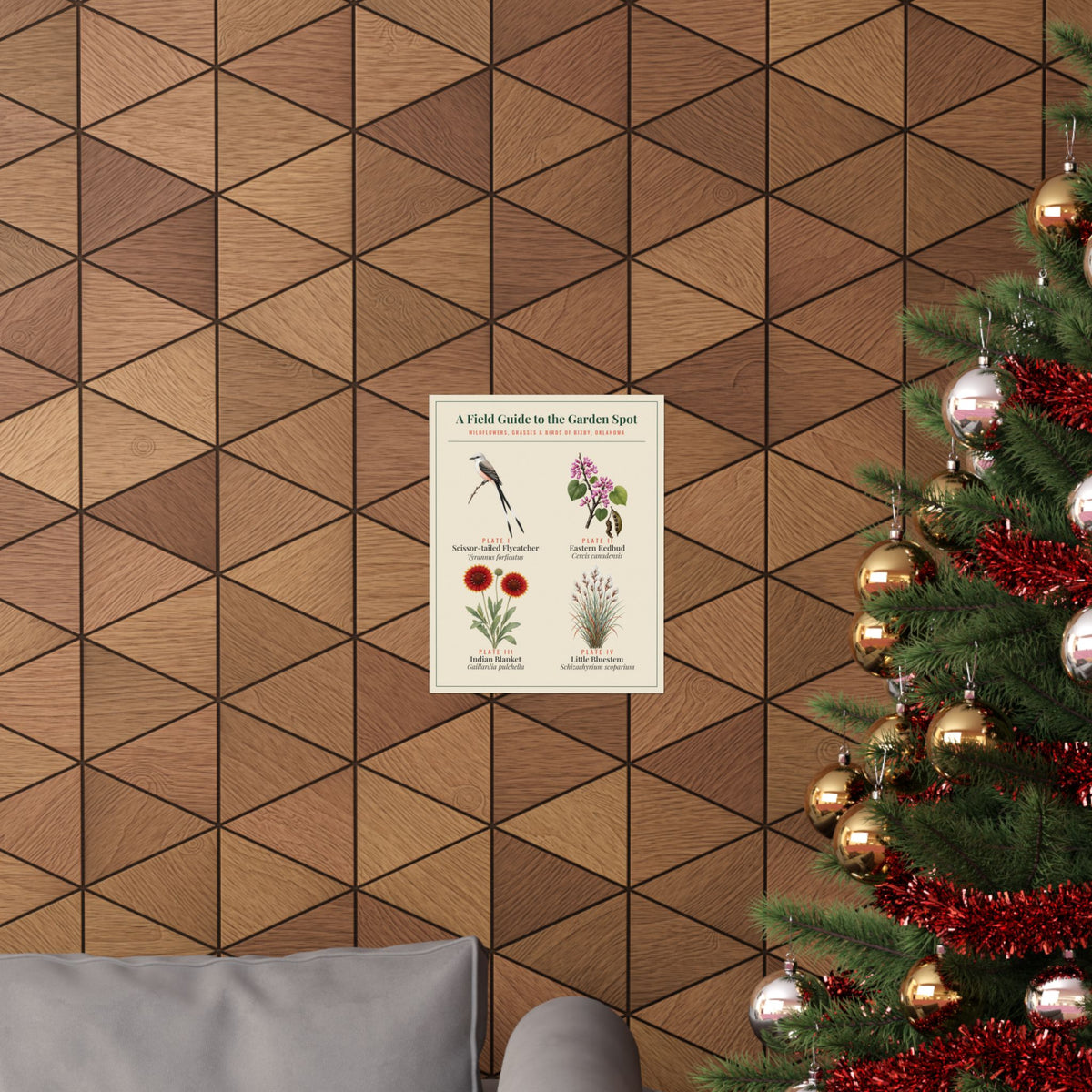 Oklahoma Wildflower Field Guide Print | Scissortail and Redbud Poster