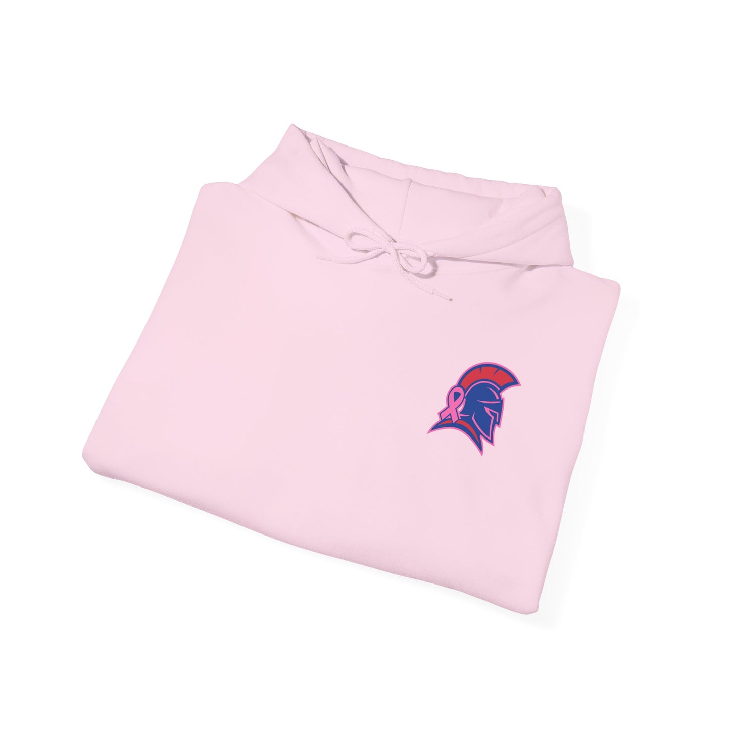 Spartan Small Helmet Breast Cancer Awareness Gildan Hoodie