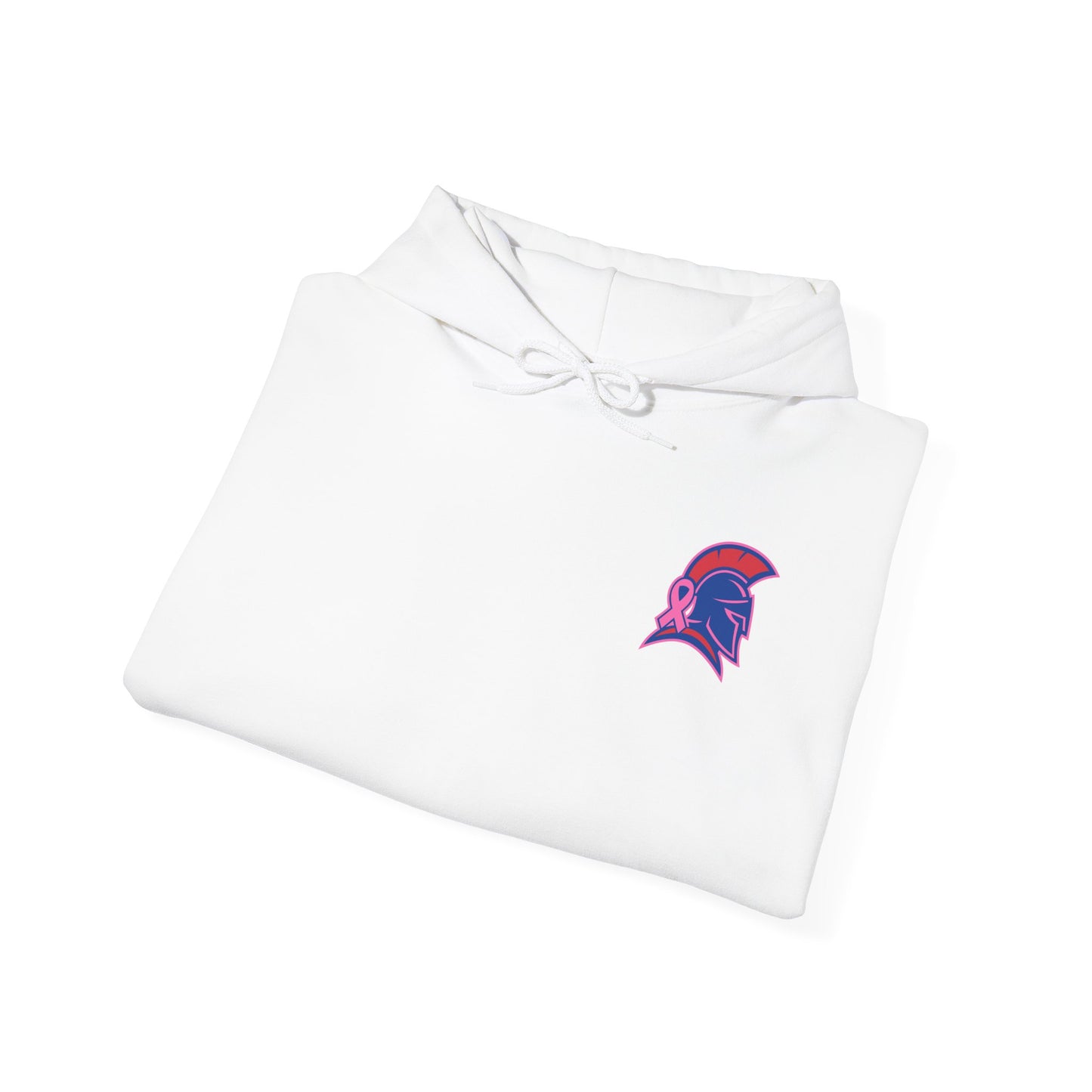 Spartan Small Helmet Breast Cancer Awareness Gildan Hoodie