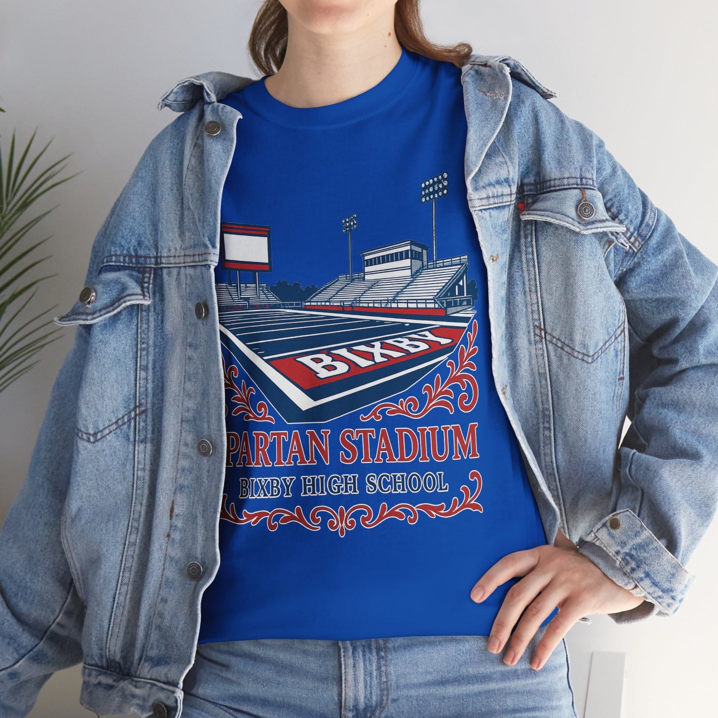Ornate Spartan Stadium Gildan Tee