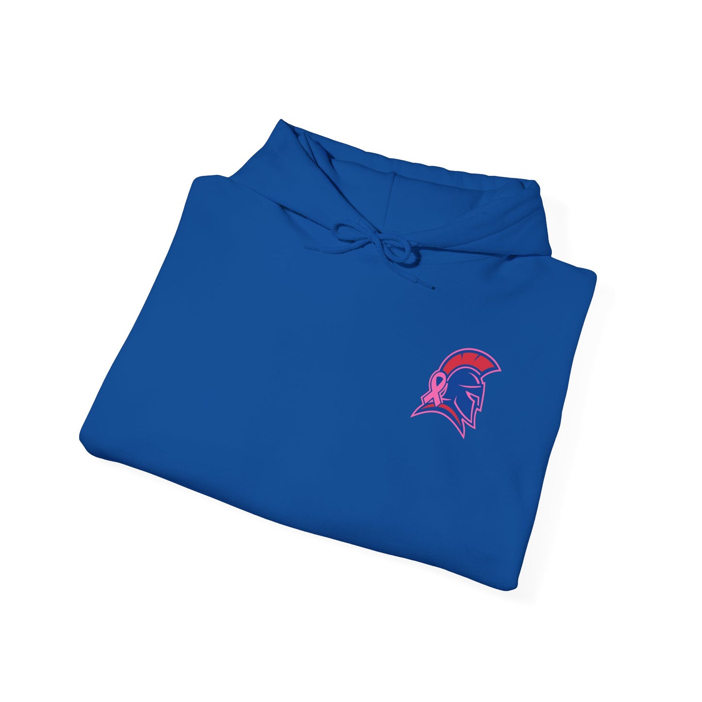 Spartan Small Helmet Breast Cancer Awareness Gildan Hoodie