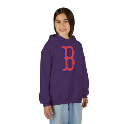 Youth Hoodie with Red & Blue 'B' Logo Youth Gildan Hoodie