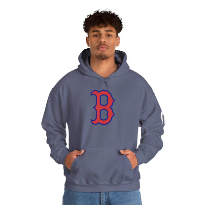 Bixby Spartans 'B' Logo With Sleeve Spartan Hoodie