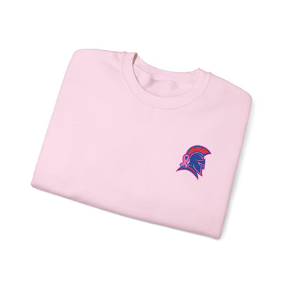Spartan Small Helmet Breast Cancer Awareness Gildan Sweatshirt