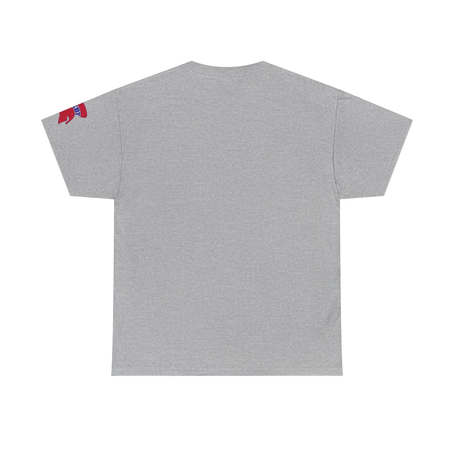 Spartan Educator Design Gildan Tee With Sleeve Logo