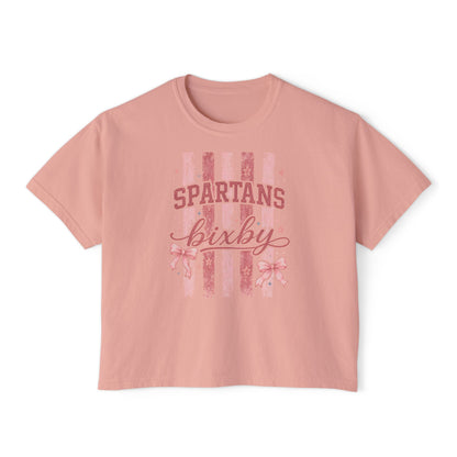 Spartans Bixby Women's Boxy Tee Pink Vintage Stripe Cheer Shirt