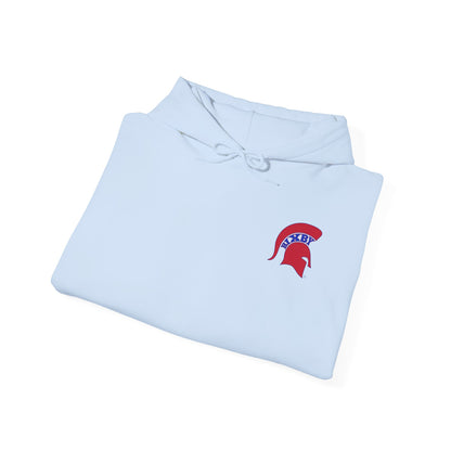 Patriotic Land of the Spartans Gildan Hoodie