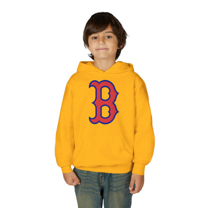 Youth Hoodie with Red & Blue 'B' Logo Youth Gildan Hoodie