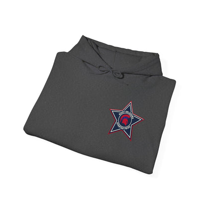Spartan Pride Star Logo Gildan Hoodie