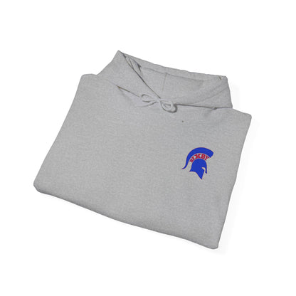 Spartan Soccer Gildan Hoodie