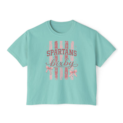 Spartans Bixby Women's Boxy Tee Pink Vintage Stripe Cheer Shirt