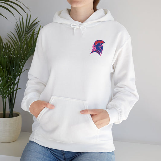 Spartan Small Helmet Breast Cancer Awareness Gildan Hoodie