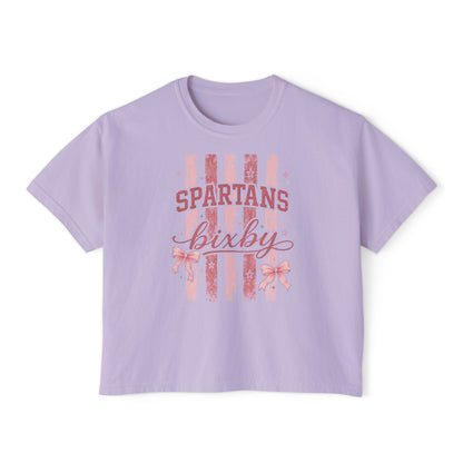 Spartans Bixby Women's Boxy Tee Pink Vintage Stripe Cheer Shirt