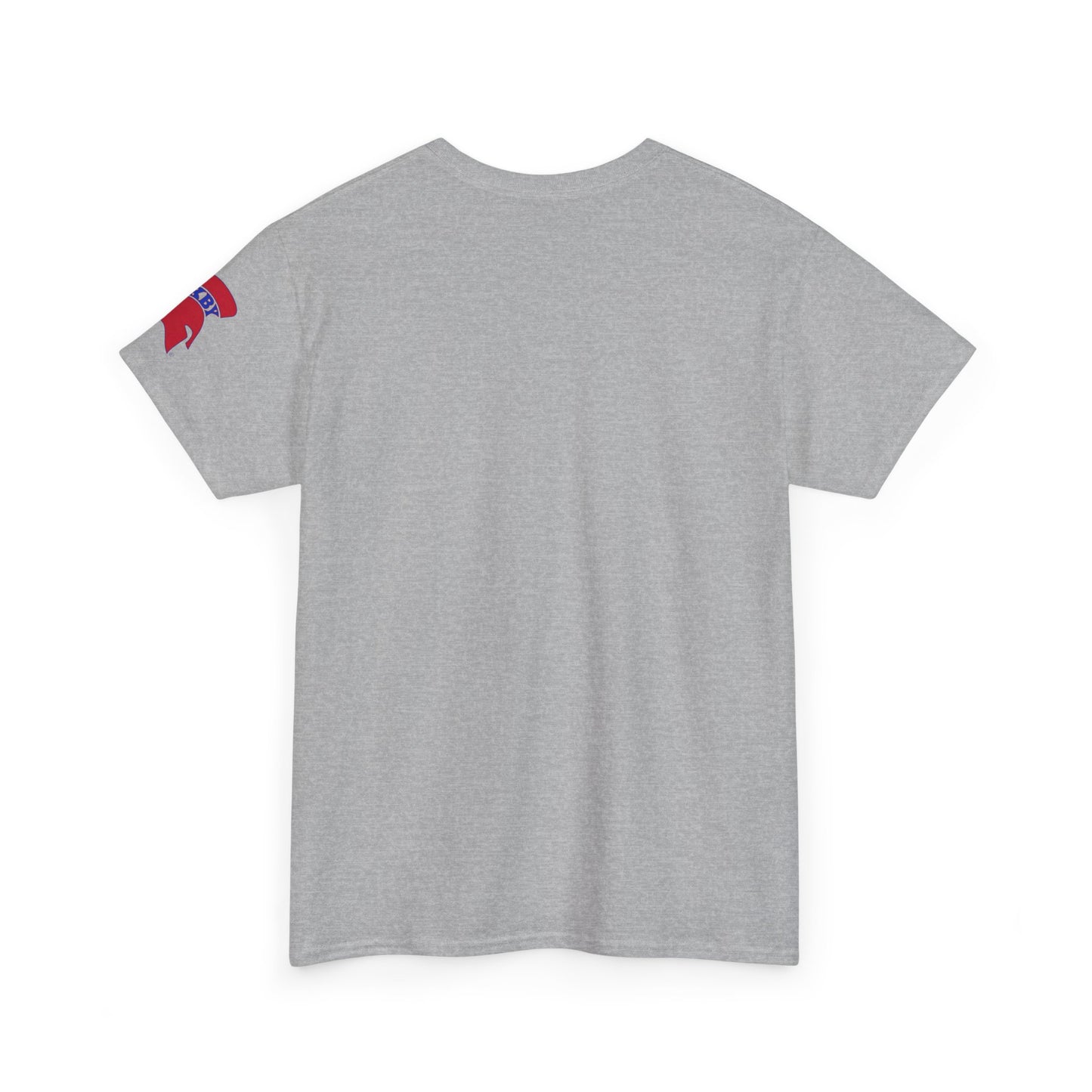 Spartan Educator Design Gildan Tee With Sleeve Logo