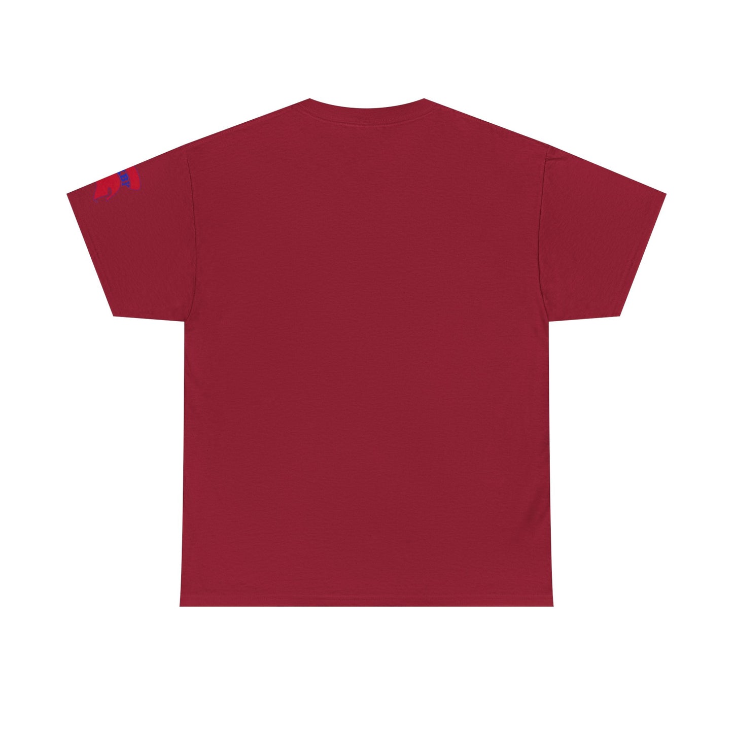 Spartan Educator Design Gildan Tee With Sleeve Logo