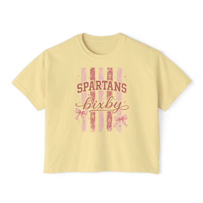 Spartans Bixby Women's Boxy Tee Pink Vintage Stripe Cheer Shirt