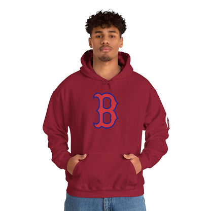 Bixby Spartans 'B' Logo With Sleeve Spartan Hoodie