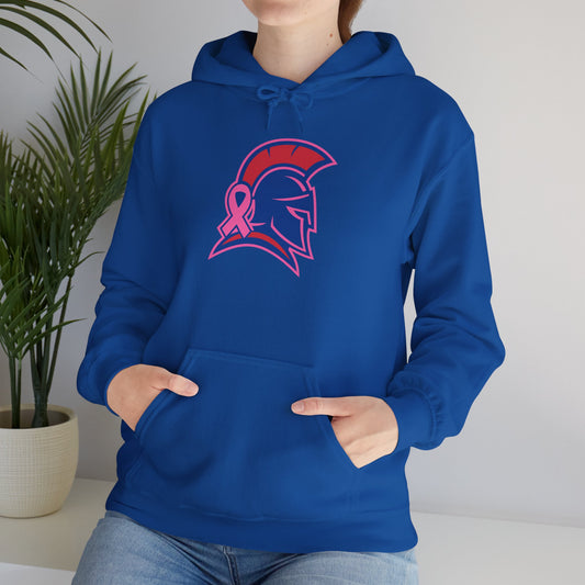 Spartan Helmet Breast Cancer Awareness Gildan Hoodie