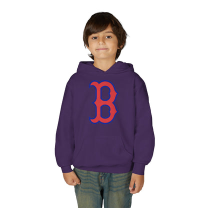 Youth Hoodie with Red & Blue 'B' Logo Youth Gildan Hoodie