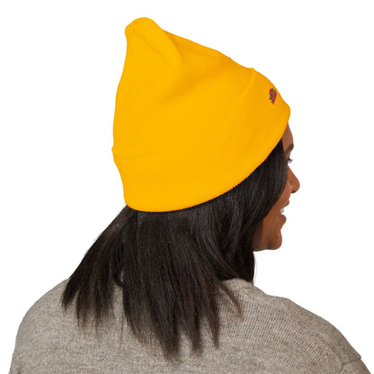 Bixby Retro Sunset Embroidered Cuffed Beanie