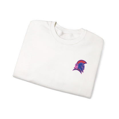 Spartan Small Helmet Breast Cancer Awareness Gildan Sweatshirt