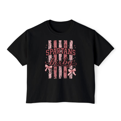 Spartans Bixby Women's Boxy Tee Pink Vintage Stripe Cheer Shirt
