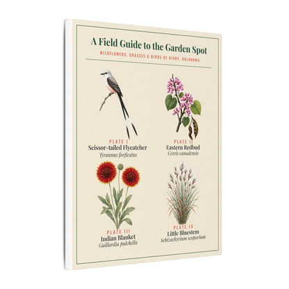 Oklahoma Wildflower Field Guide Canvas | Scissortail and Redbud Wall Art