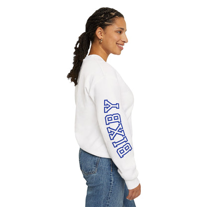 Spartans Sleeve Logo and Print Gildan Sweatshirt