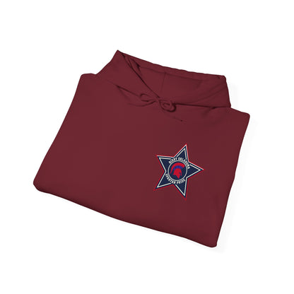 Spartan Pride Star Logo Gildan Hoodie