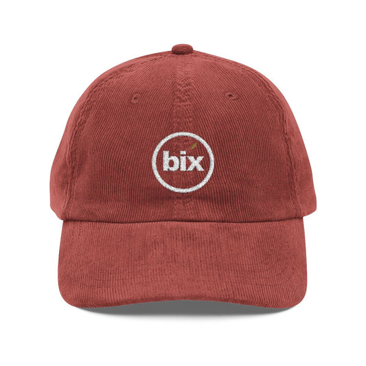 Lowercase bix Embroidered Corduroy Dad Cap in Burgundy
